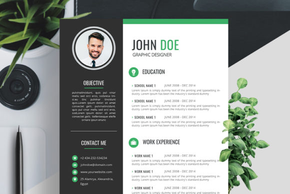 Professional Resume Template: Your Key to a Standout Application